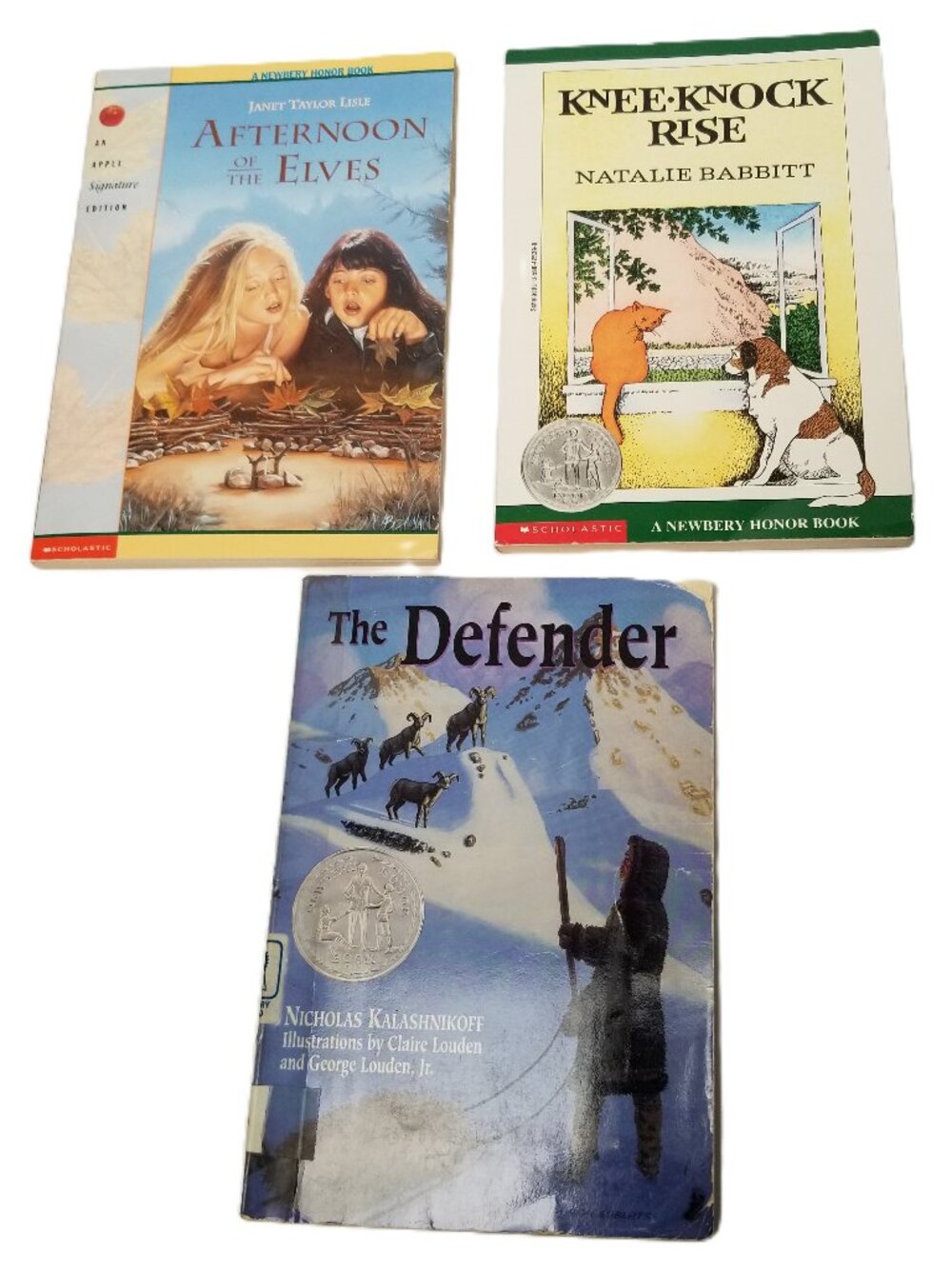 Fantasy Book Bundle Kneeknock Rise Afternoon of the Elves